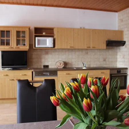 Aigner Appartamento Haus im Ennstal