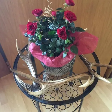 Apartman Aigner Haus im Ennstal