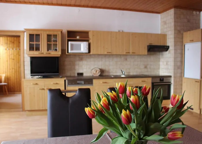 Aigner Apartman Haus im Ennstal