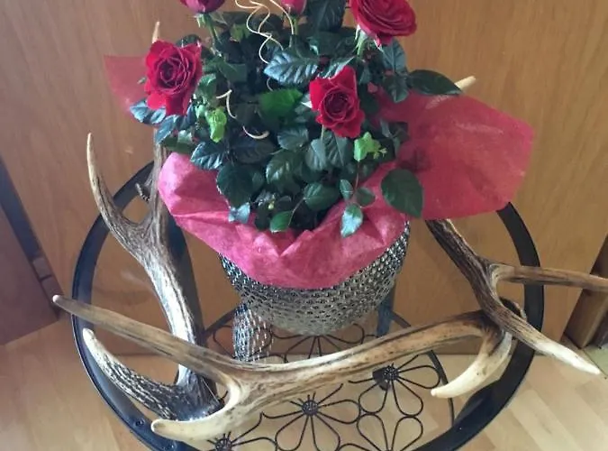 Apartament Aigner Haus im Ennstal