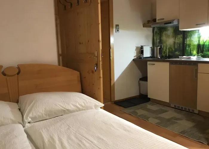 Aigner Haus im Ennstal